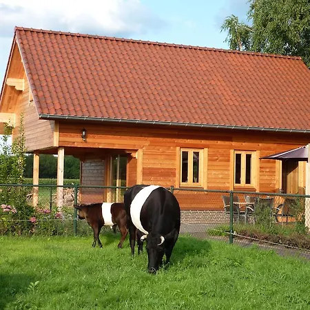 Bed & Breakfast De Lakenvelder *